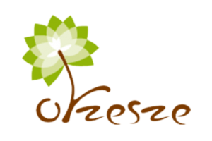 Urząd Miasta Orzesze